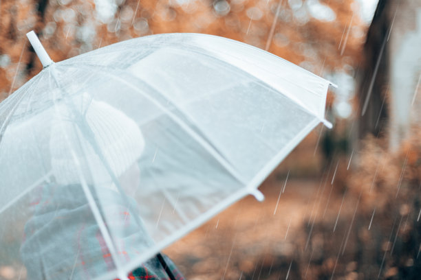 潮湿透明的伞在多雨的秋天天气。雨天的概念。图片下载