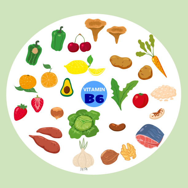 全套维生素B6天然来源。健康的乳制品肉类，蔬菜，鸡蛋，坚果，鱼，甜菜根。有机饮食产品，天然营养收集。矢量平面卡通插图孤立图片下载