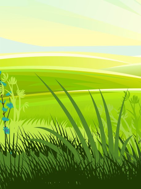 草甸草。农村的风景。长满草的山丘。地平线在远处。夏天的照片。插图。向量图片下载