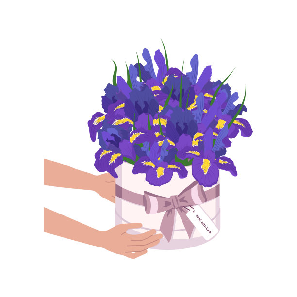 双手捧着一个圆盒子里的花。送一束鸢尾花。春天盛开的成分图片下载