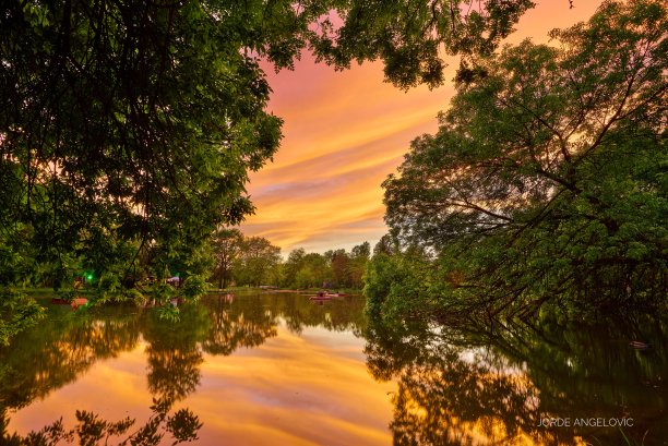 盛开的春天图片下载