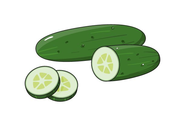 鲜绿黄瓜切片，分离于白色背景上图片下载