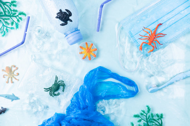 污染的概念。手戴蓝色手套从海里的小海鱼中取出塑料瓶图片下载