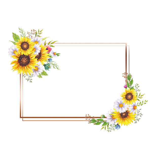 花框架与野花和叶子。水彩向日葵框架。白色背景。水彩花卉。植物绘画。水彩野花框架。几何的框架图片下载