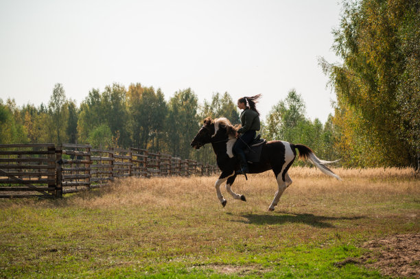 一个漂亮的女孩来到乡村马术俱乐部，在秋天骑马穿过田野图片下载