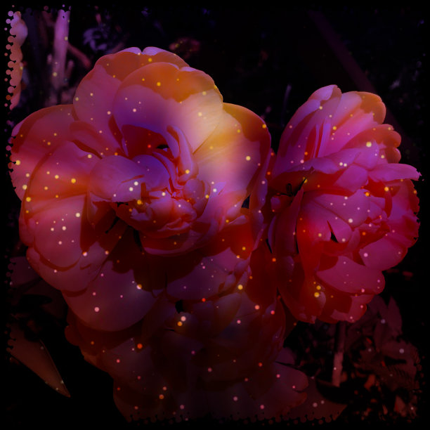 粉色的复古图片下载