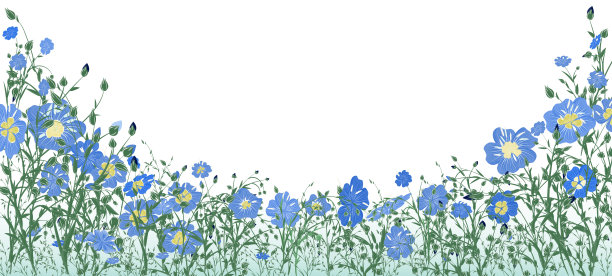 草地和花的全景，亚麻花和花蕾的半圆形形式的设计横幅，明信片，问候或纺织品标签的文字空间。矢量插图。图片下载