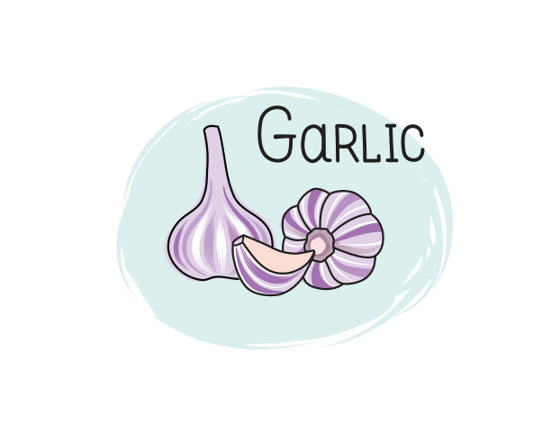 大蒜图标。一半，切片和完整的香料大蒜香草分离在白色的背景与字母大蒜蔬菜画的符号大蒜图片下载