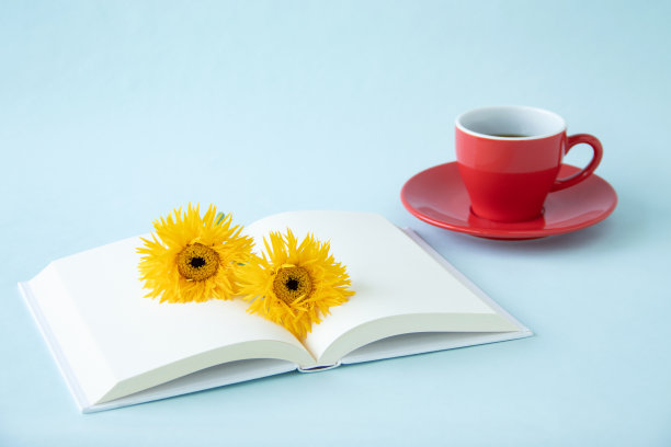 书和黄色非洲菊图片下载