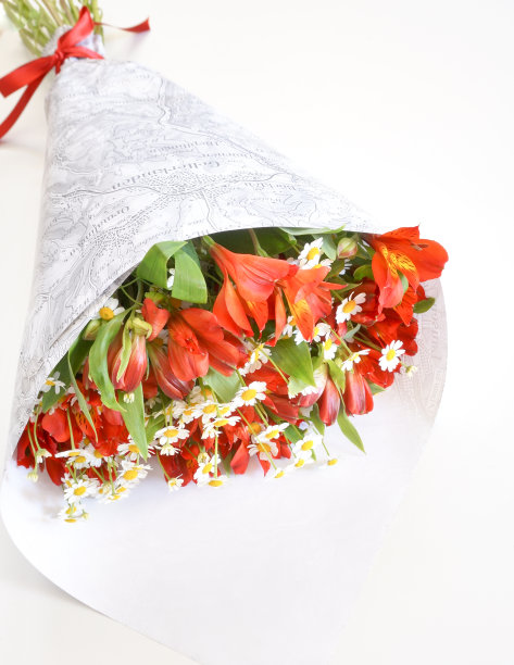 一束红花和菊花菊图片下载