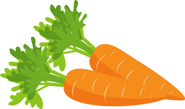 胡萝卜平图片下载