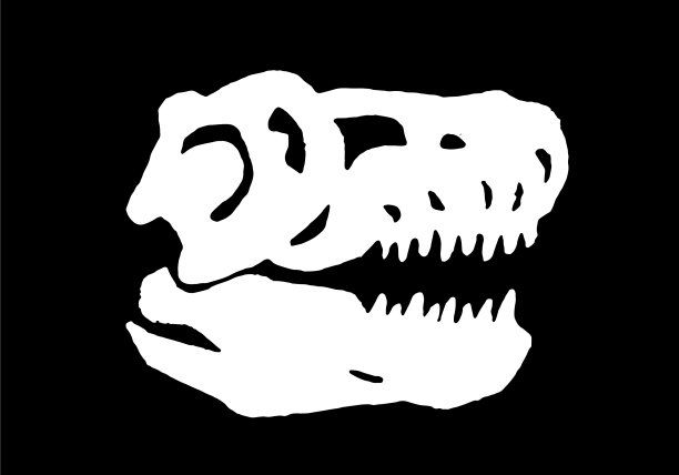 图形头骨霸王龙孤立在黑色图片下载