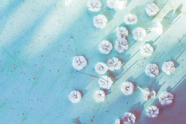 花夹竹桃在绿松石背景。光影的游戏。背景图片下载