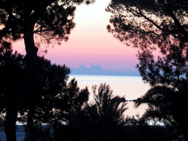 日出前的清晨图片下载