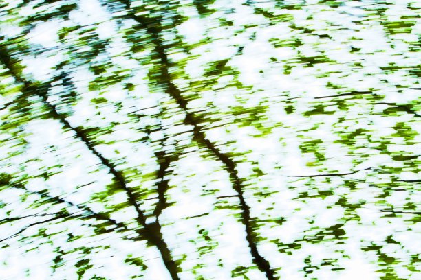 大自然中的绿色图片下载