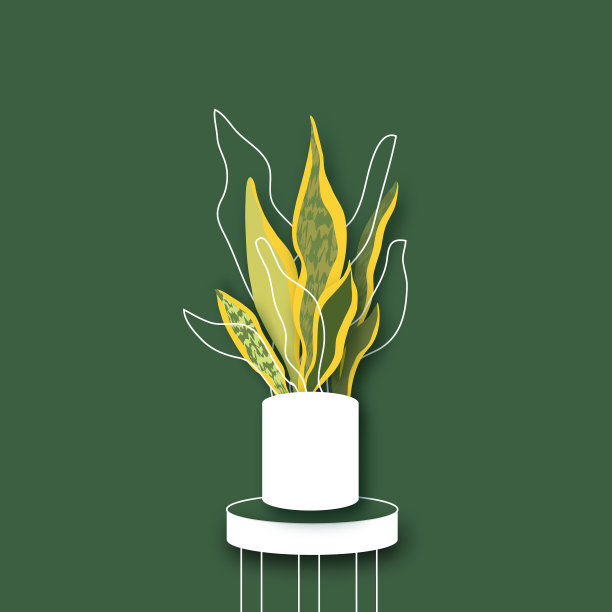 室内植物-斑蛇植物，盆栽植物图片下载