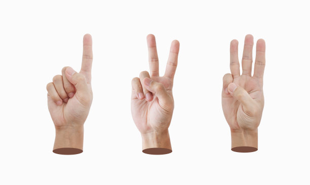 手数一数二，树，孤立在白色背景上图片下载