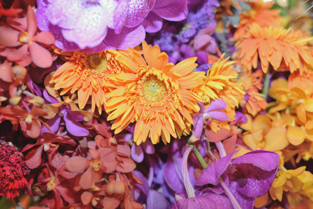 黄色花朵的花束图片下载