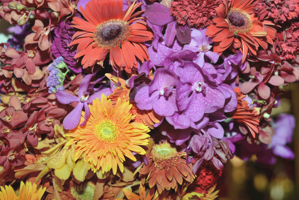 红色和紫色的花束图片下载