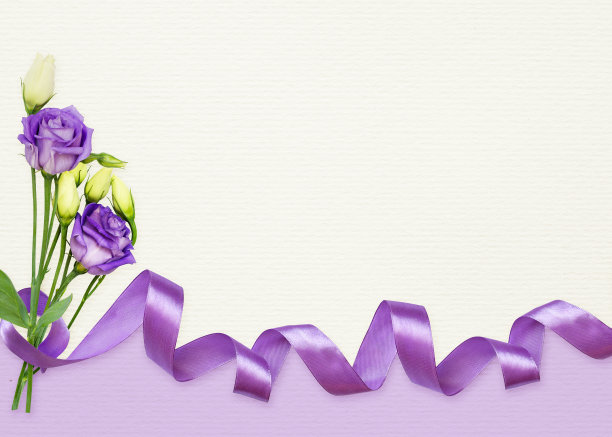 紫色纹理纸，缎带和菊花花图片下载