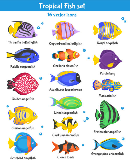 热带鱼图标集图片下载