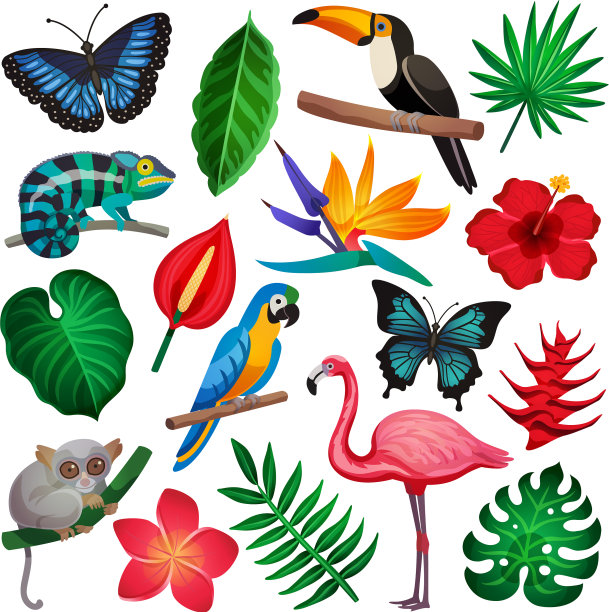 热带风情图标集图片下载