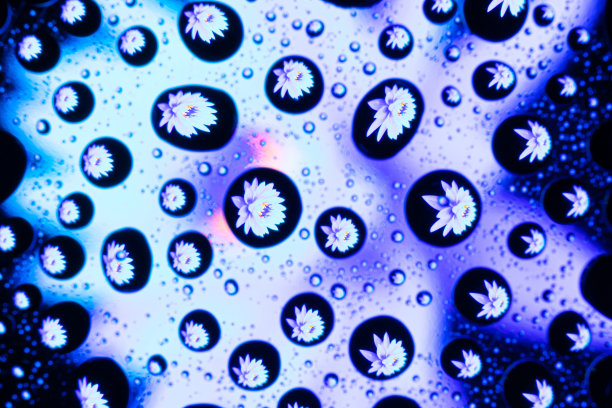 蓝色、紫色、玫瑰色和淡紫色的花朵在玻璃上折射出春天的图案或纹理图片下载