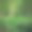 树木在森林的自然背景，在大自然中放松和娱乐。春天鲜绿。图片下载