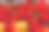 春天的花朵，花园里的郁金香特写。阳光下明亮的红色背景。图片下载