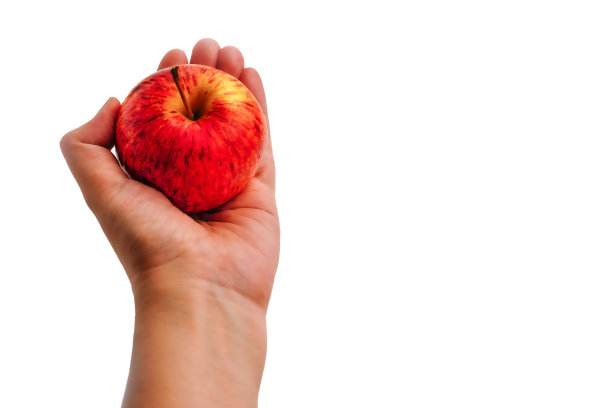 手持红色，黄色的苹果在孤立的白色背景上剪出。图片下载