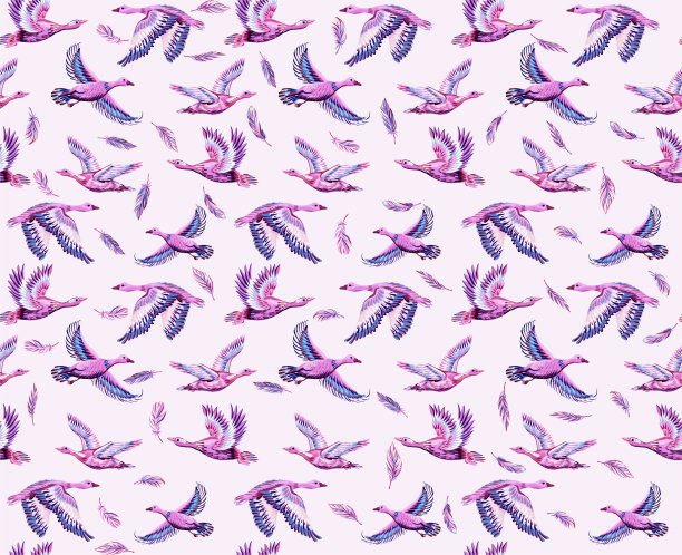 纹理背景与鸭子和鹅在天空中飞行图片下载