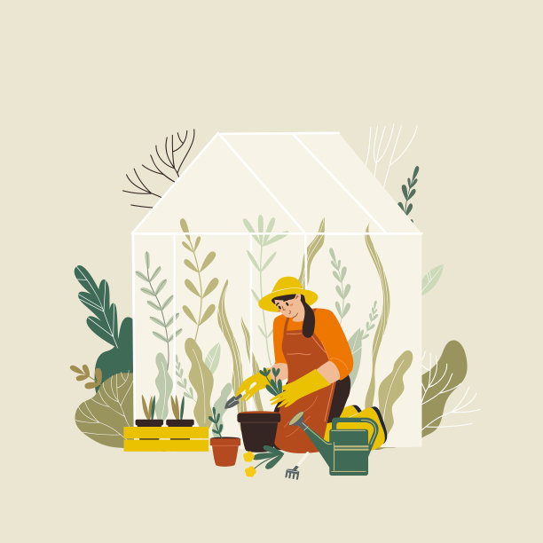 女人园艺。妇女种植花园花，农业园丁的爱好和园艺工作。园艺人，花匠，剪花工图片下载
