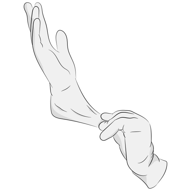 矢量图形，戴上医用手套。图片下载