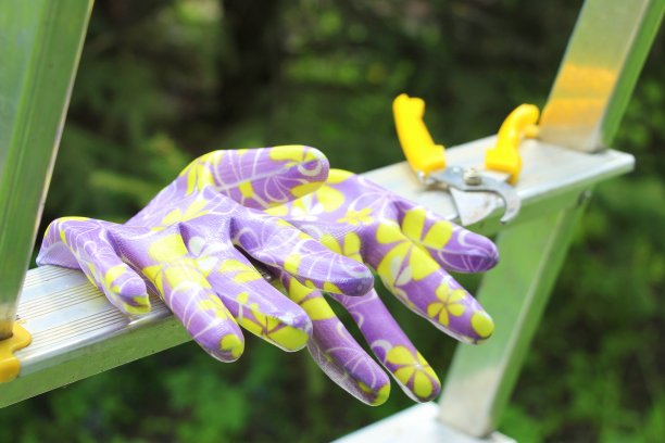 手套和花园剪刀。园艺。修剪干燥和破损的树枝。职业是园丁，景观设计师。图片下载