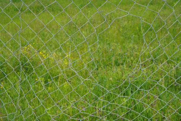 带洞的链环栅栏。背景是一片绿色的草地。有很多拷贝空间。具有深刻象征意义的照片。图片下载