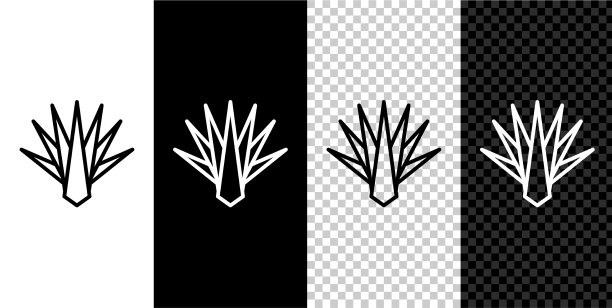 设置线龙舌兰图标隔离在黑色和白色图片下载