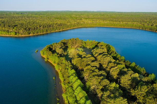 鸟瞰池塘在一个阳光明媚的夏日森林全景图片下载