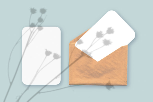 模型与覆盖的植物阴影信封与两张纹理白纸在蓝色桌子的背景图片下载