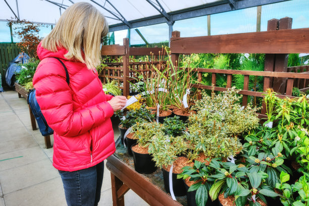 在花园中心浏览植物的女人图片下载