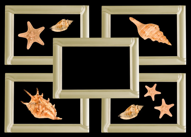从框架拼贴，在收集贝壳和海星，孤立在黑色背景。空间的文本黑色，俯视图，夏季或海滩度假概念。图片下载