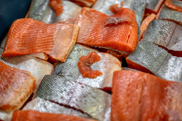 许多三文鱼和鳟鱼片，特写照片图片下载