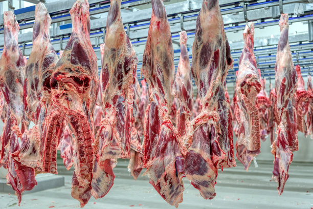 牛肉尸体挂在大冰箱里图片下载