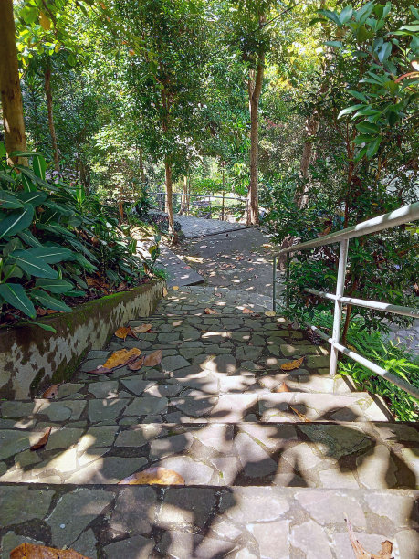在绿树成荫的花园中，一条下坡的石头小路图片下载