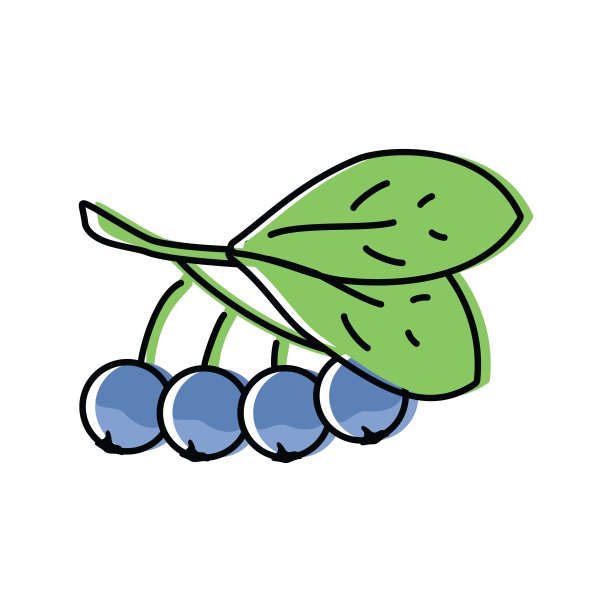 蓝莓。天然浆果。矢量插图在平面风格图片下载