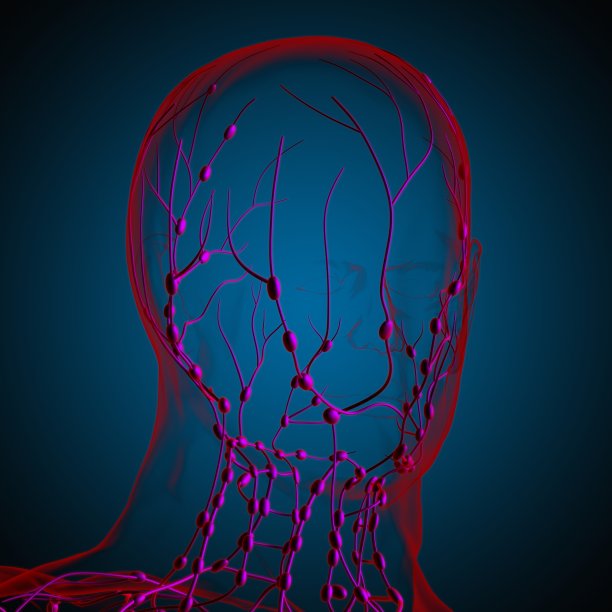 人体淋巴结解剖用于医学概念3D渲染图片下载