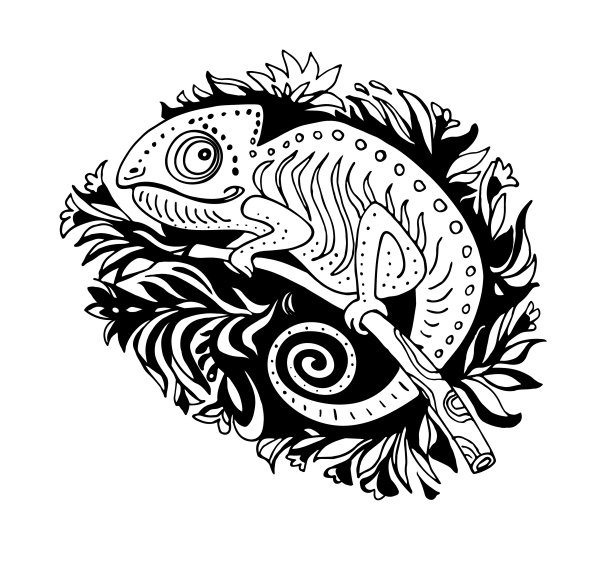 黑白变色龙画手在涂鸦图片下载