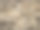 用旧城堡的脏砖砌成的石墙。图片下载