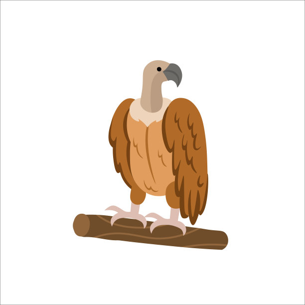 白色背景上的卡通秃鹰。平面卡通插图的孩子。图片下载