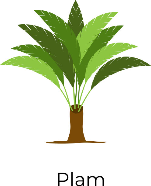 棕榈树图片下载