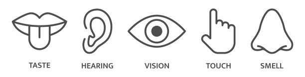 五种感官听觉，味觉嗅觉，视觉，触觉，视觉。标志设置。耳朵，眼睛，鼻子，嘴，舌头手线图标。感官知觉的象征。矢量图图片下载